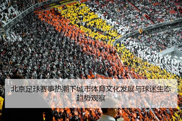 北京足球赛事热潮下城市体育文化发展与球迷生态趋势观察